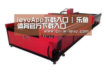产品名称十