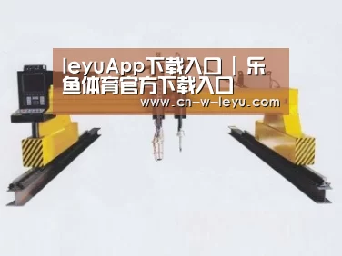 产品名称十七